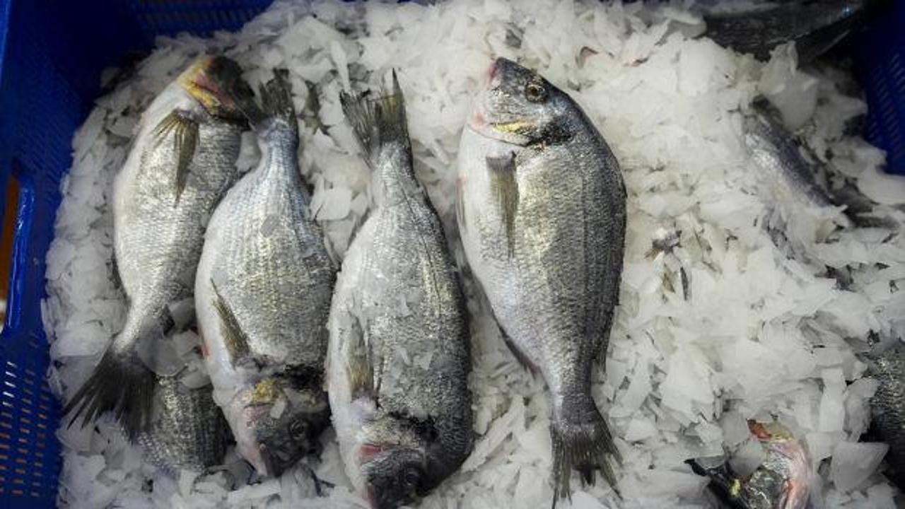 Su ürünlerinde Cumhuriyet tarihinin rekoru! 93 ülke sıraya girdi!