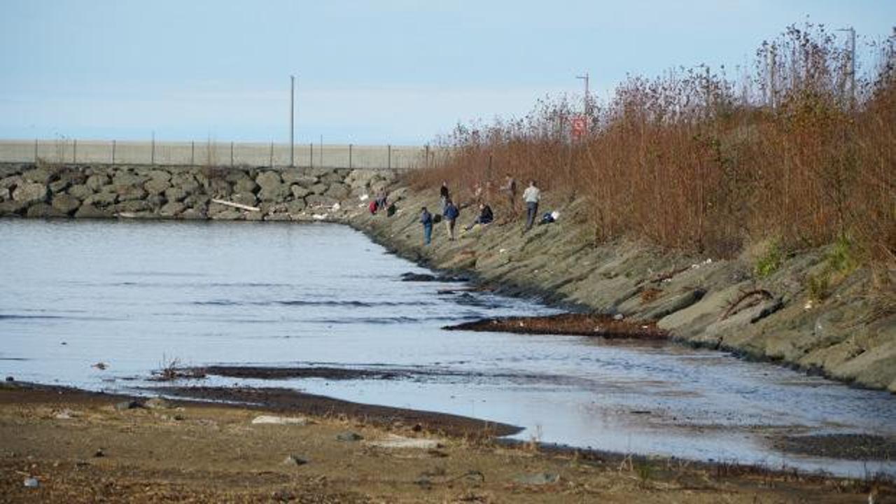 Rize'de ilgin&ccedil; olay: Duyan duymayana duyurdu! Herkes kıyıya akın etti