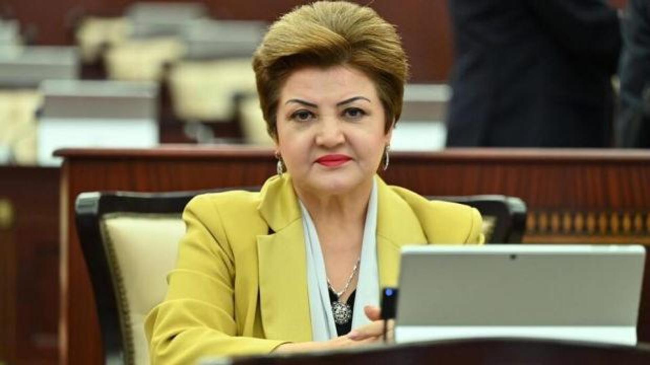 Tenzile Rüstemhanlı yazdı: Bir düşman tweeti Türki…