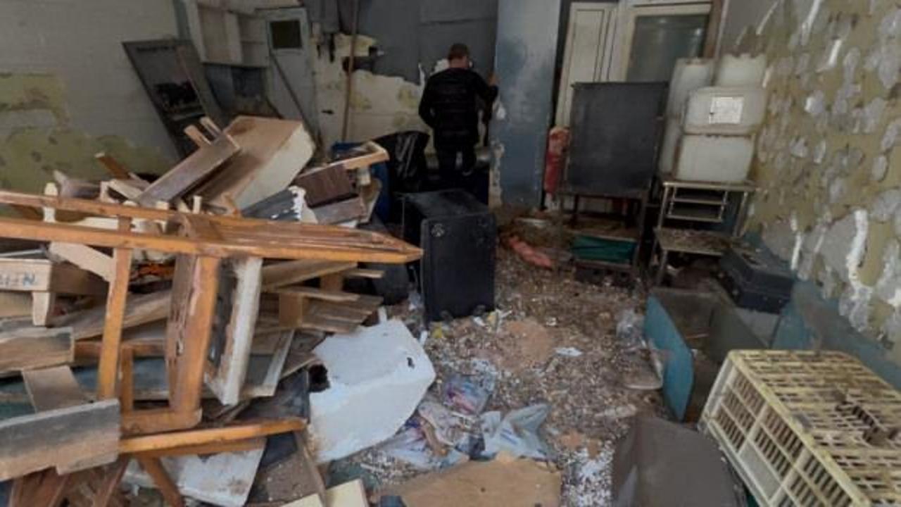 Y&uuml;zlerce farenin istila ettiği d&uuml;kkanın bulunduğu sokağı k&ouml;t&uuml; kokular sardı 