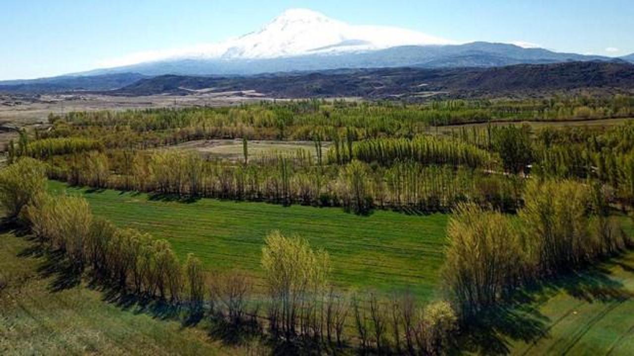 2B arazilerinde başvuru ve ödeme süresi uzatılıyor