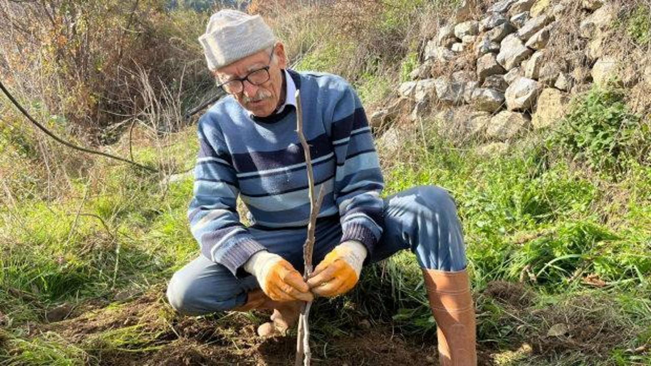 82 yaşındaki Mevl&uuml;t emminin imrendiren toprak projesi: Bin 670 ağa&ccedil; dikti 