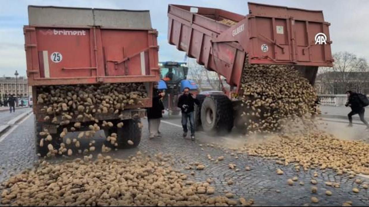 Fransız çiftçiler Meclis binasının önüne 30 ton patates döktü