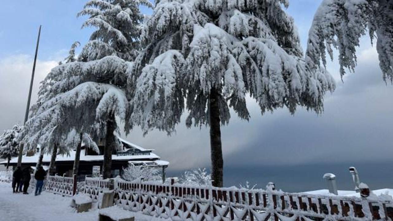 Son dakika: Ordu ve Tunceli'de okullar tatil edildi