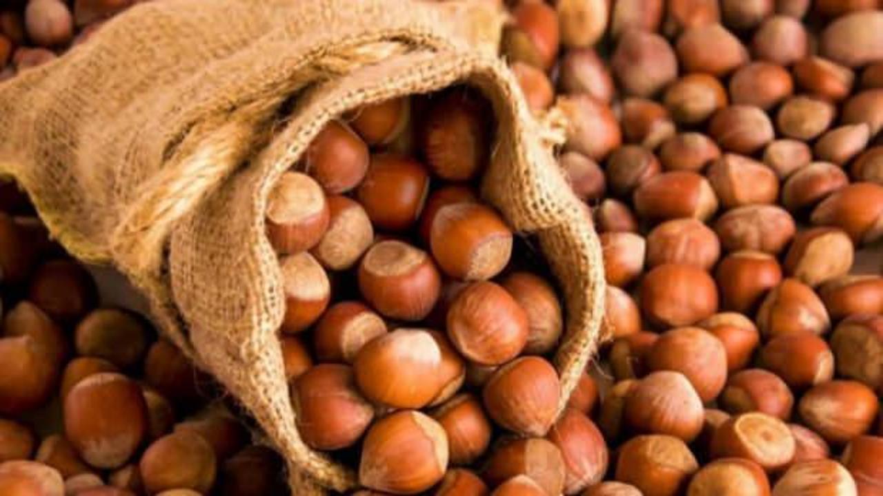 Tam tamına 238 bin ton! İşte Türkiye'nin en çok fındık sattığı ülke