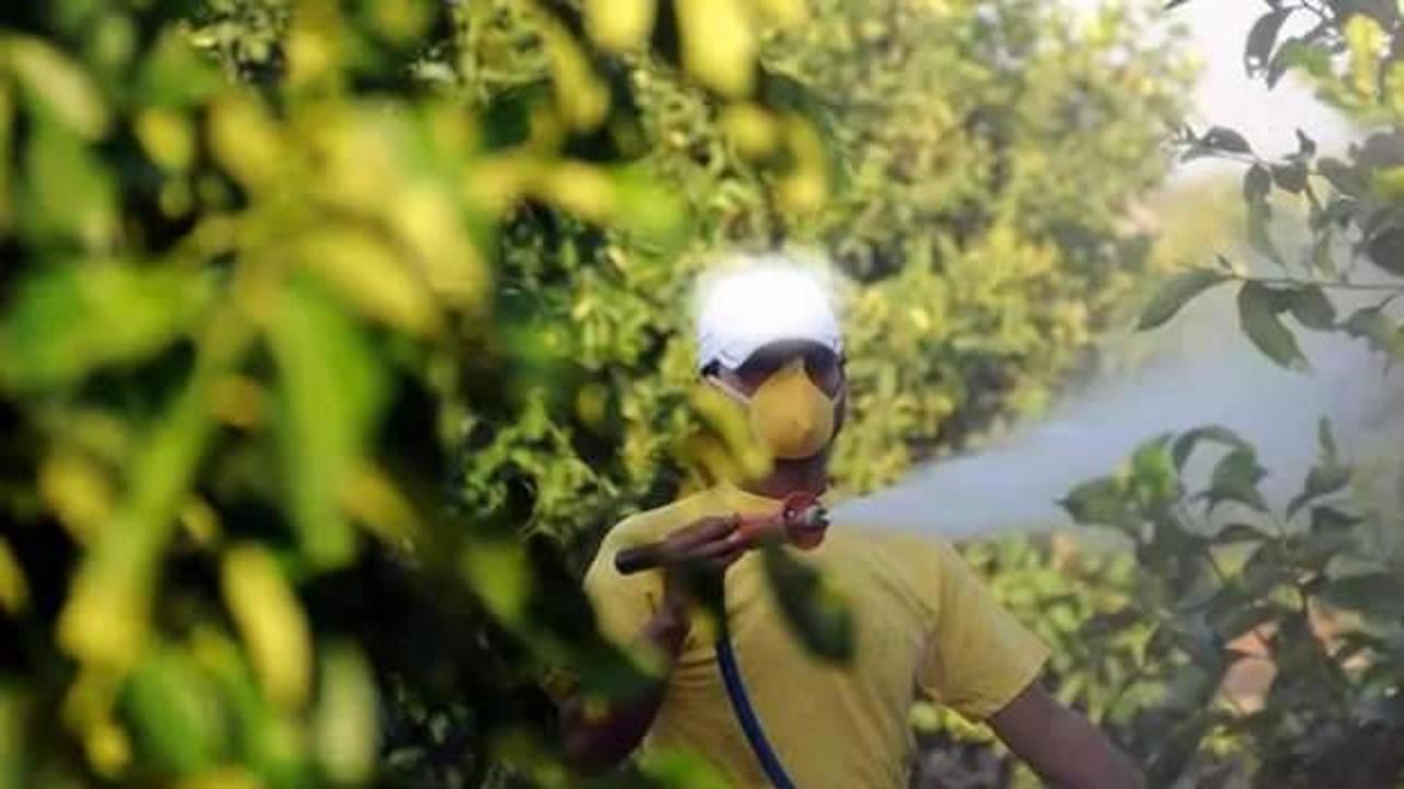 5 soruda tarımda "B-Reçete" uygulaması