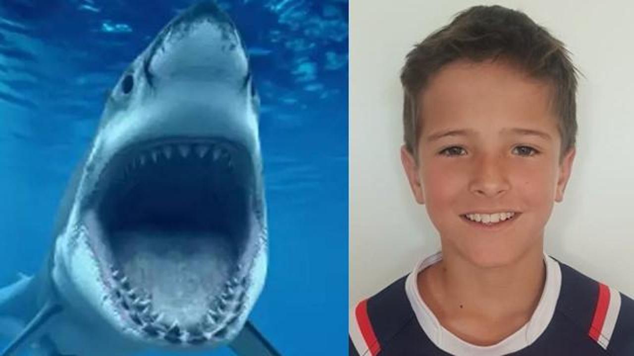 Köpekbalığı 12 yaşındaki çocuğu öldürdü