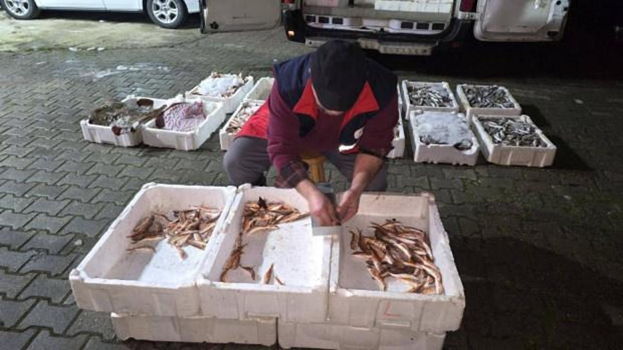 Balık&ccedil;ının kabusu ger&ccedil;ek oldu! Kastamonu'da ekipler teker teker &ouml;l&ccedil;t&uuml;