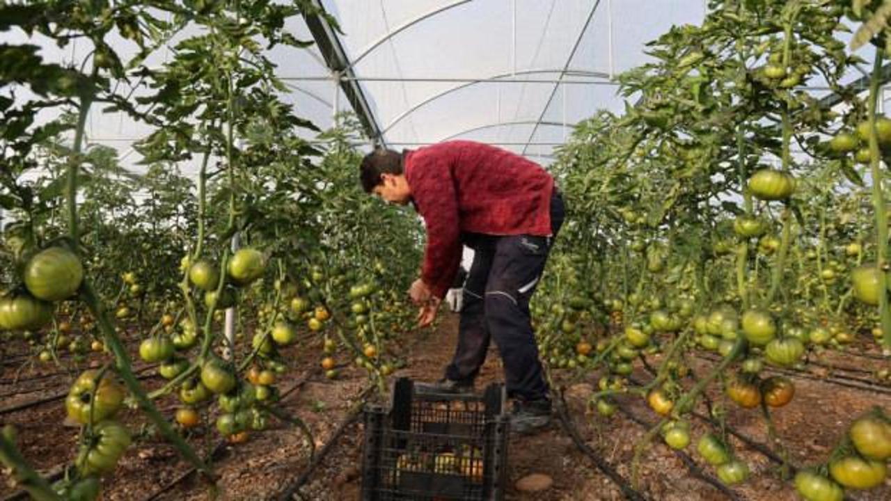 Devlet desteğiyle kendi işlerinin sahibi oldular, &uuml;retime başladılar