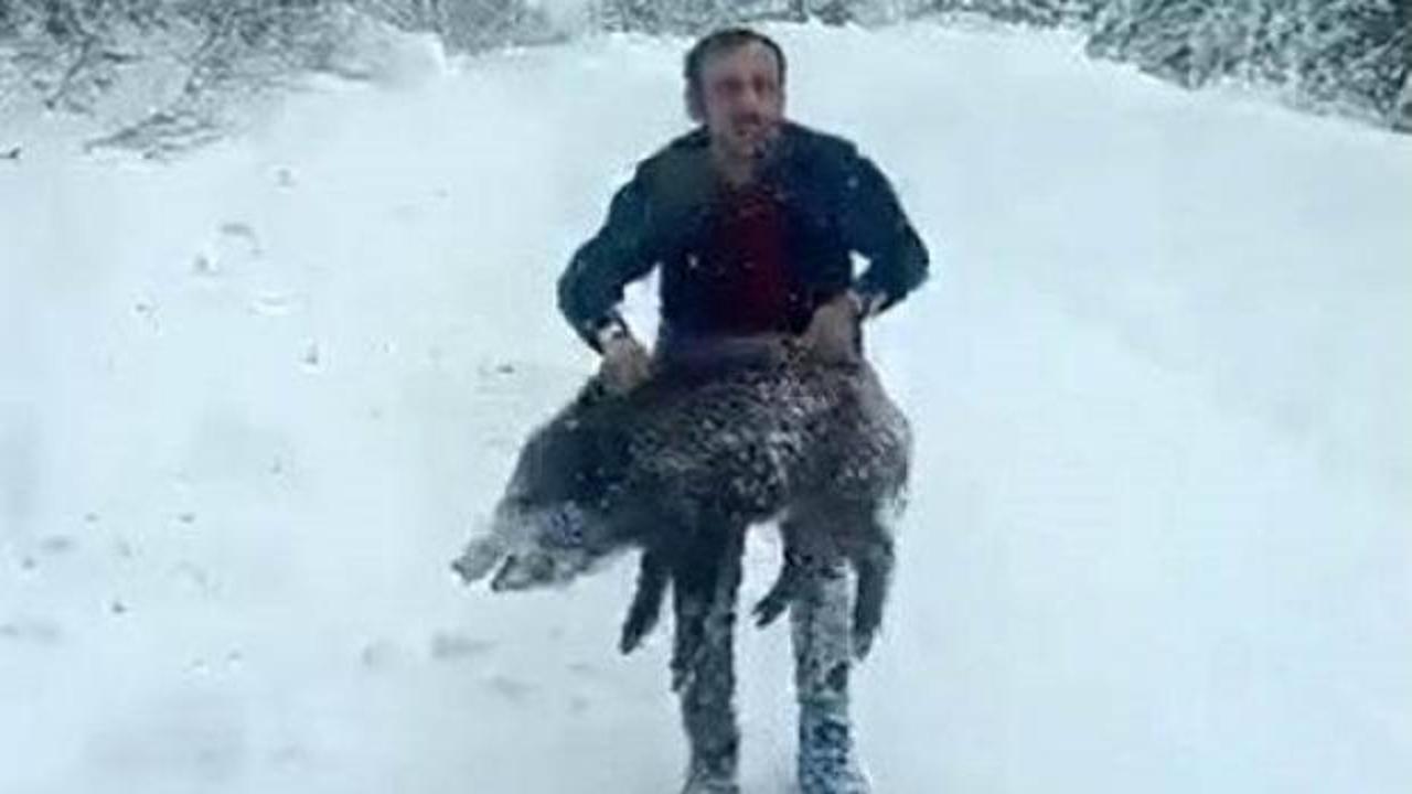 Sinop'ta elleriyle domuz yakalayan adama kesilen cezada yeni gelişme