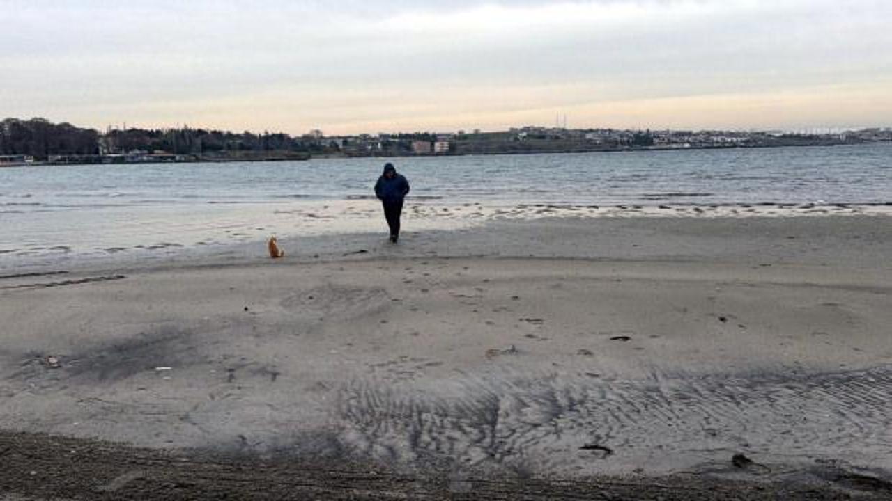 Tekirdağ'da denizdeki hareketlilik bölge halkını tedirgin etti