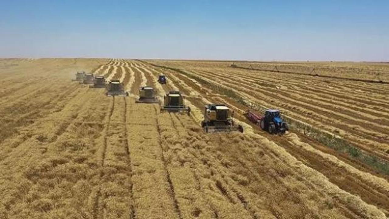 Yem sanayicilerinden yeni karar! Fiyatlar sabit kalacak