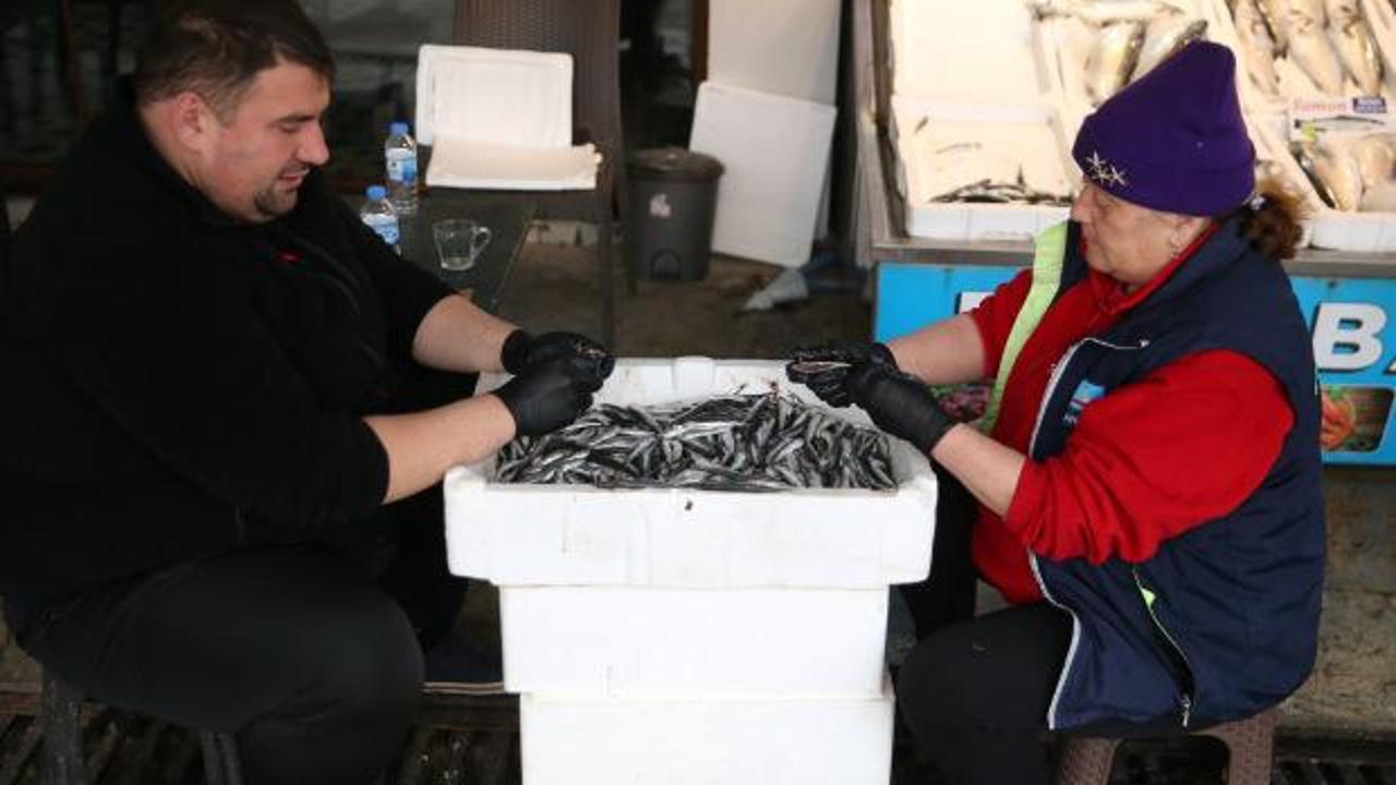 Hamsi tutkunları dikkat! Yaz ortasında da yiyebileceksiniz
