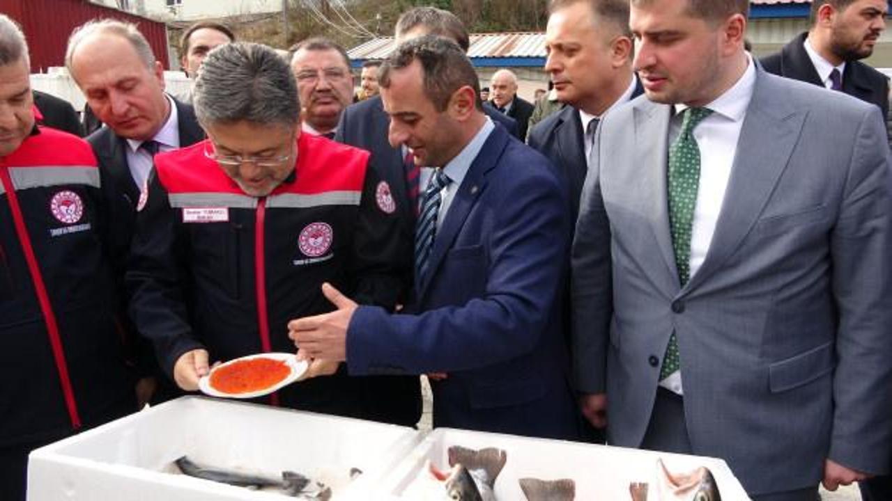 Bakan Yumaklı müjdeyi Artvin'den verdi: Su ürünlerinde 1 milyon ton barajı aşıldı