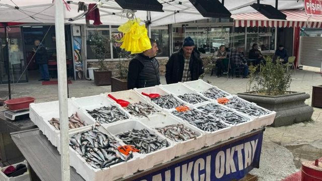 Tezgahlarda hamsi dönemi başladı: İşte güncel balık fiyatları