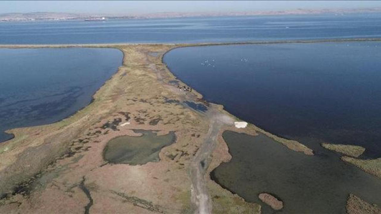 Dünya genelinde süren sulak alan kaybı, küresel ekonomiyi tehdit ediyor