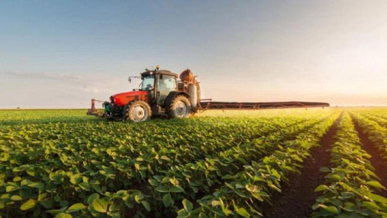 Ege Bölgesi'nin 2025'teki tarım ürünleri ihracatı 7,5 milyar dolara ulaştı