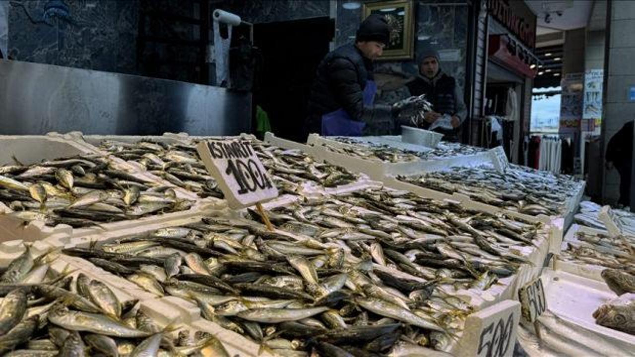 Trabzon'da balıkçı tezgahlarında istavrit ilgi görüyor