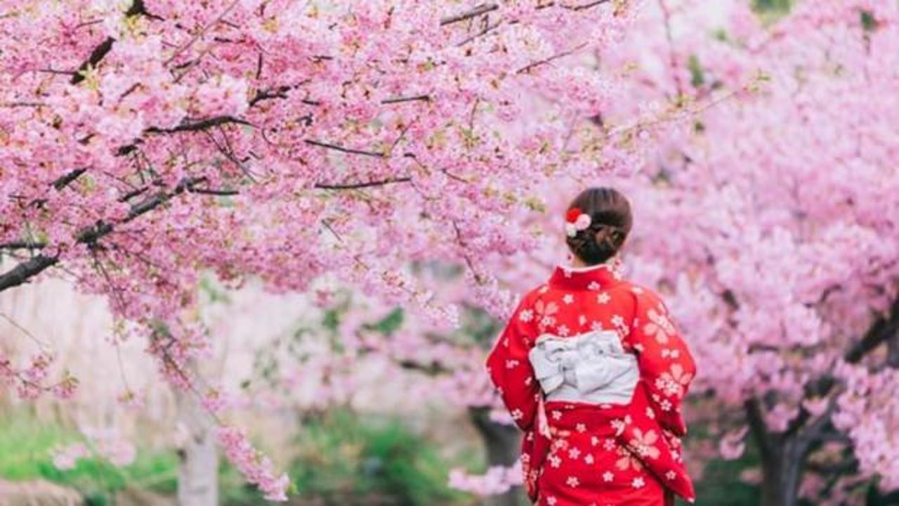 Japonya'nın simgesi olan festival aşırı turizm nedeniyle iptal edildi