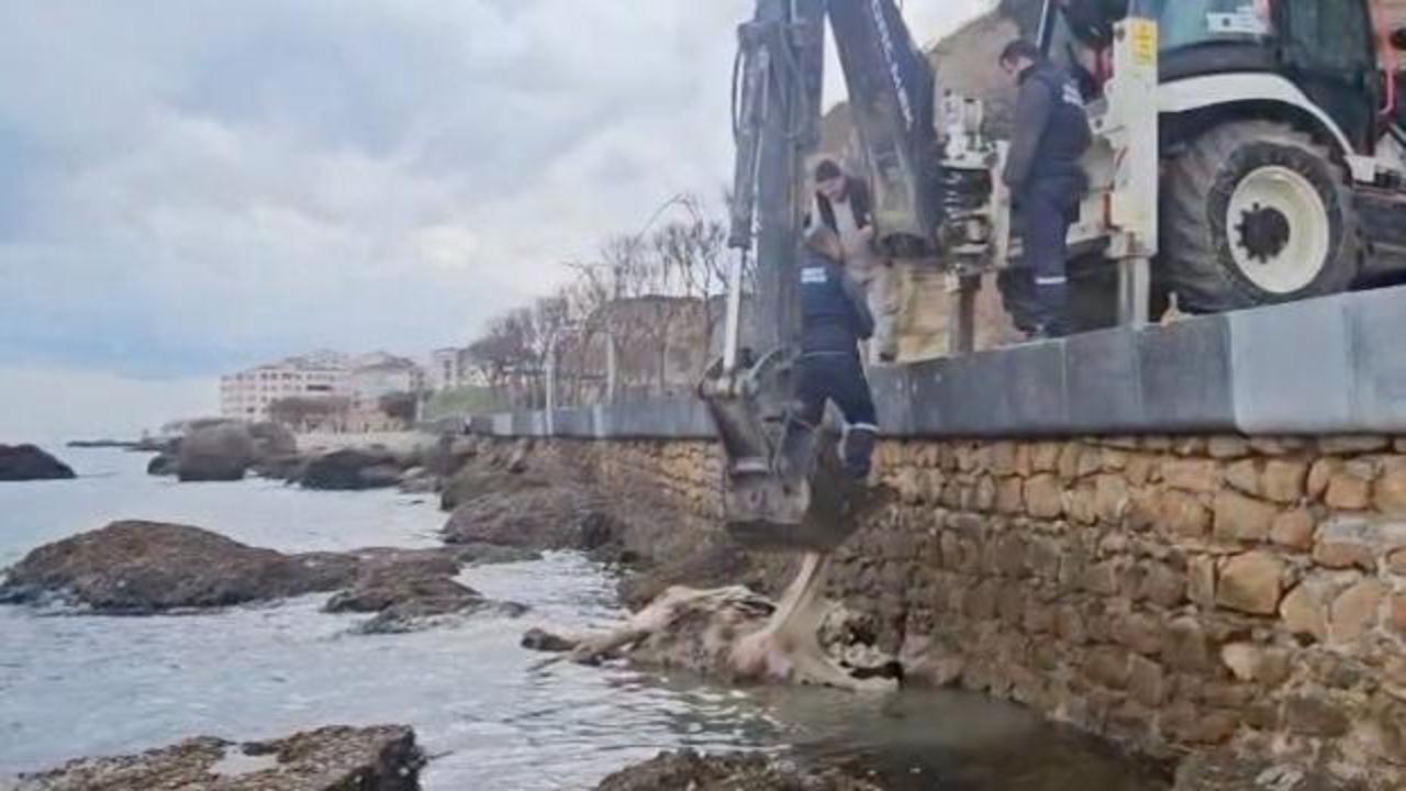 Kimse nereden geldiğini anlayamadı! &Ccedil;anakkale'de denizde şaşırtan g&ouml;r&uuml;nt&uuml;