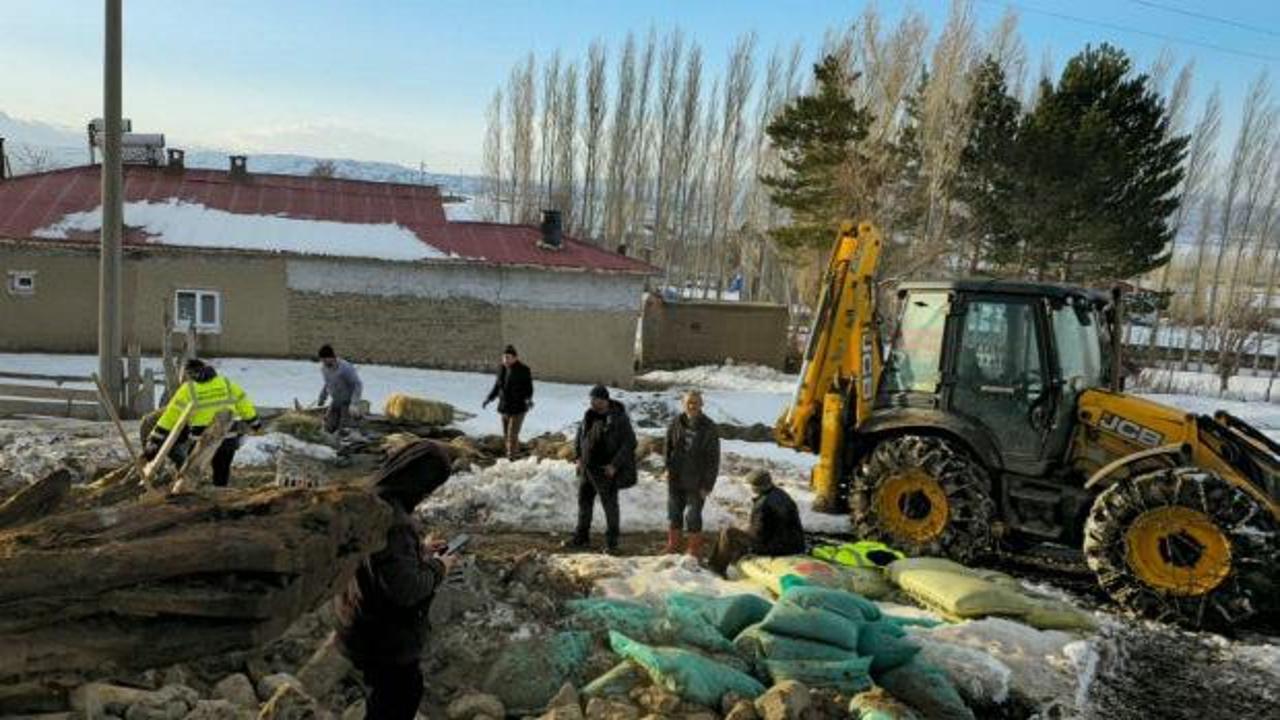 Sivas'ta besiciyi kahreden manzara: 40 koyun telef oldu 