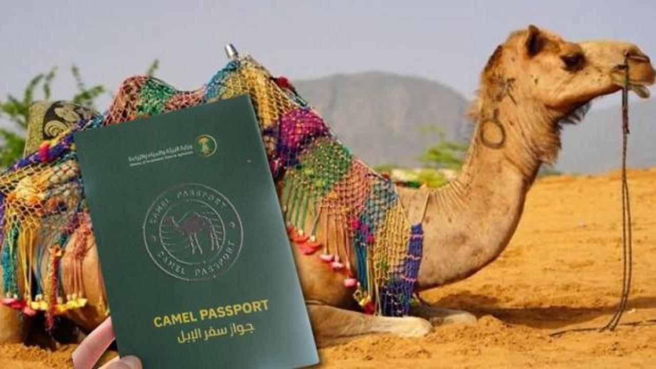 Suudi Arabistan develere pasaport verecek! H&uuml;k&uuml;metten yeni d&uuml;zenleme