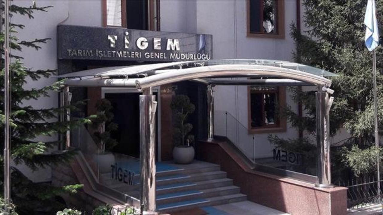 TİGEM 24 bin kilogram koyun s&uuml;t&uuml; satacak