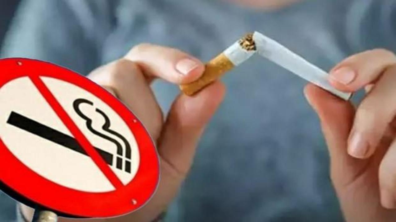 Sigara insanlığın en büyük salgını! Korkunç rakamlar