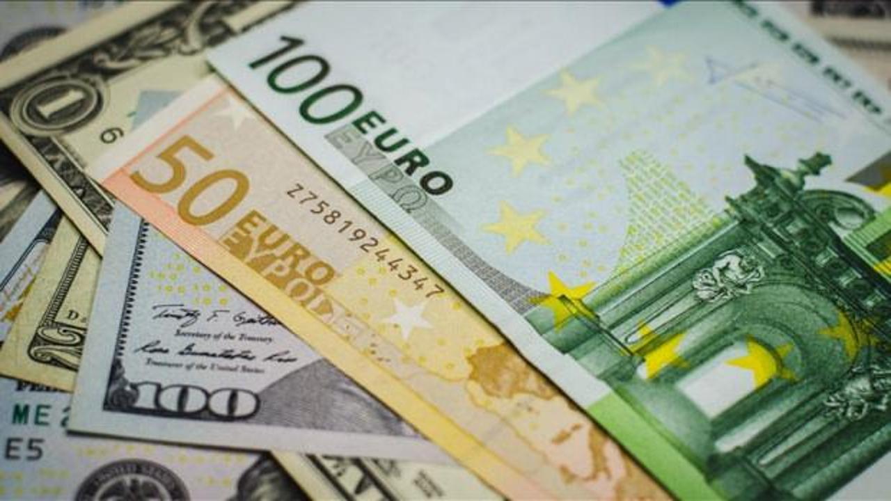 Bir ülke daha Euro’ya geçiyor! Otuz yıllık kron inadından vazgeçecek