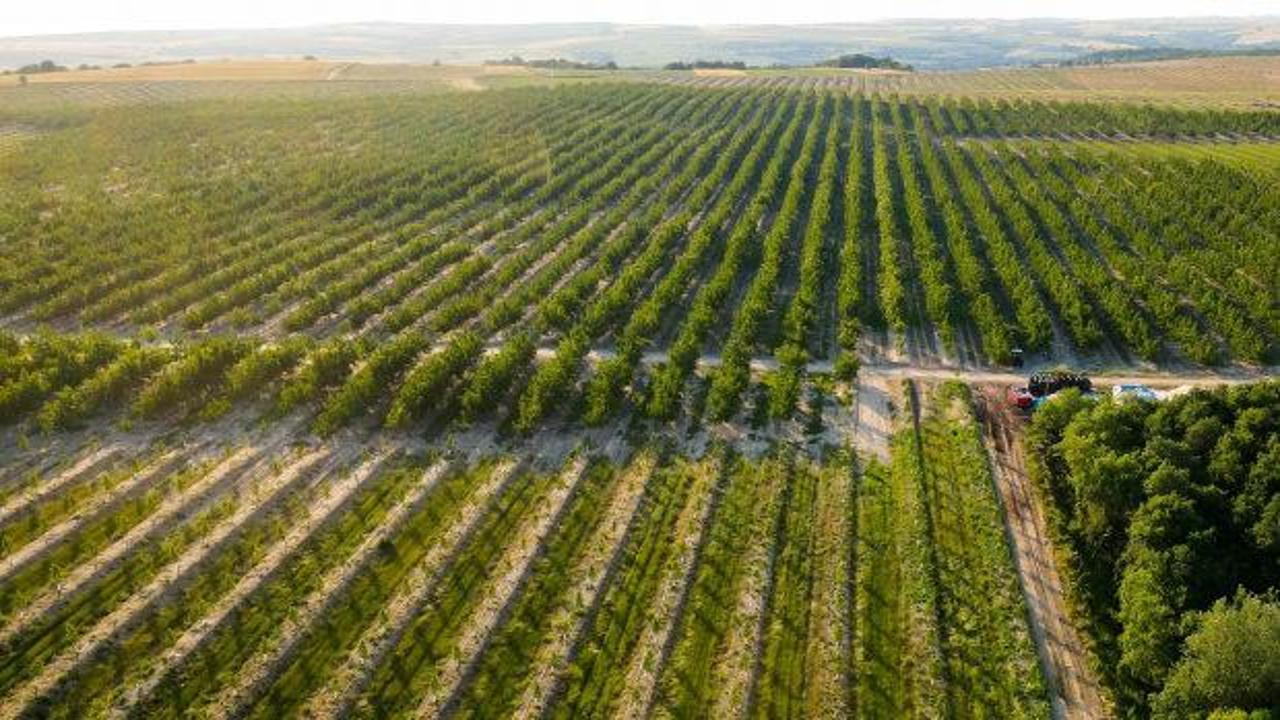 Avrupa 2040'da 2 kat genç çiftçi hedefliyor, tarımda gelecek gençlerle biçilecek