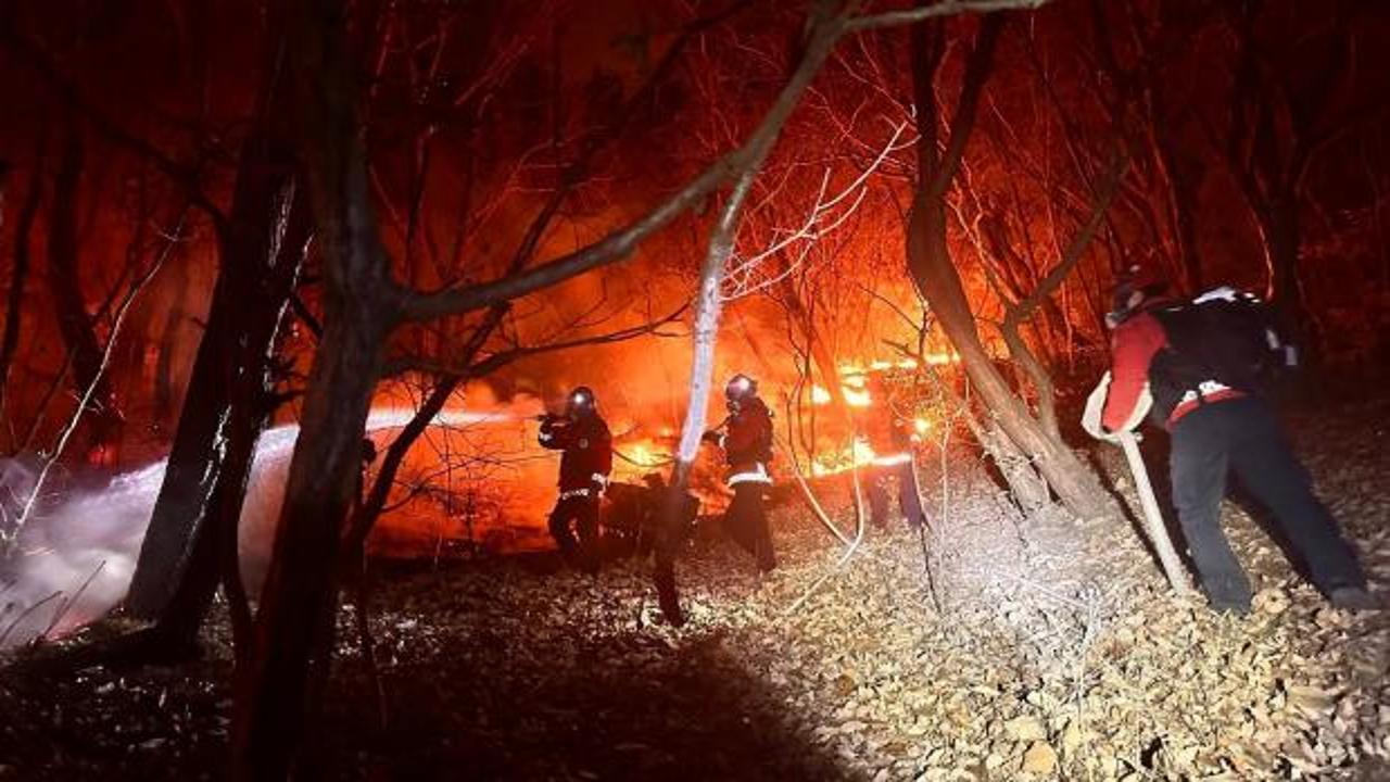 200 futbol sahası büyüklüğünde alan küle döndü