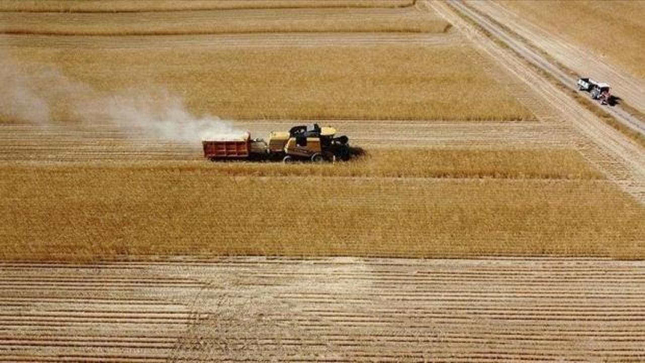 Çiftçilere 149,6 milyon liralık tarımsal destekleme ödemesi bugün yapılıyor