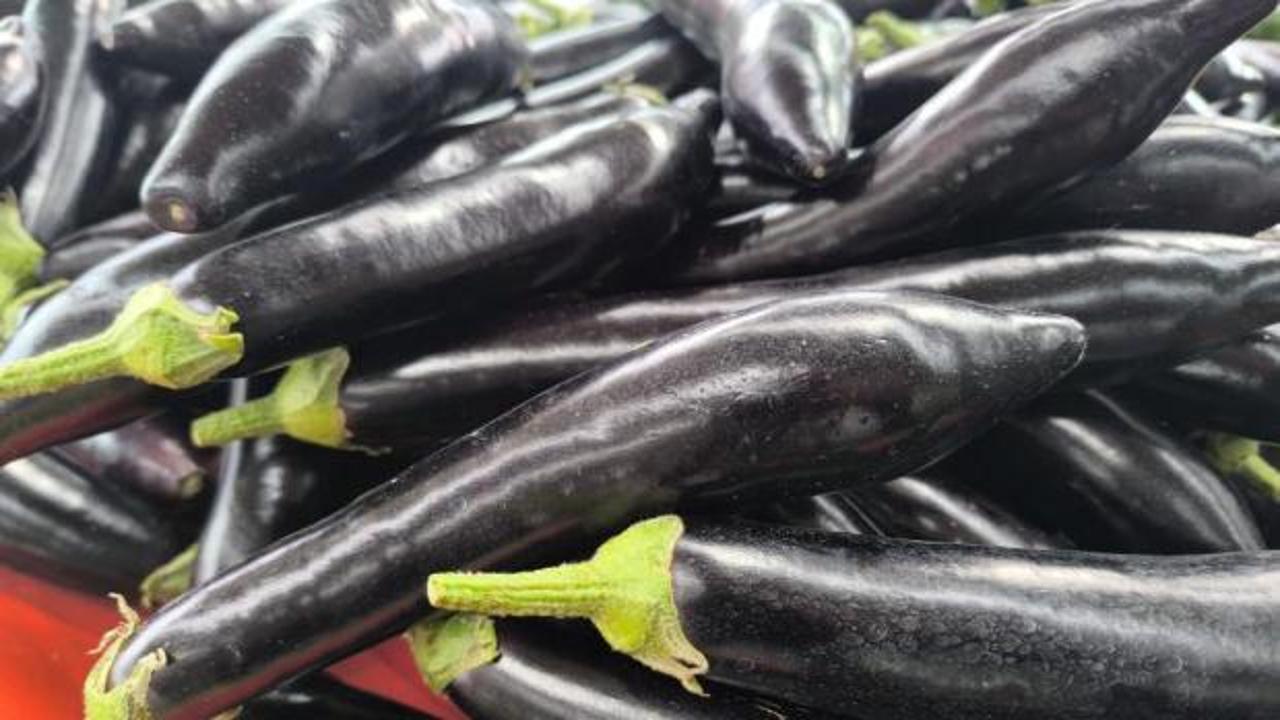 Havalar soğudu, patlıcan fırladı! Kilosu 150 TL