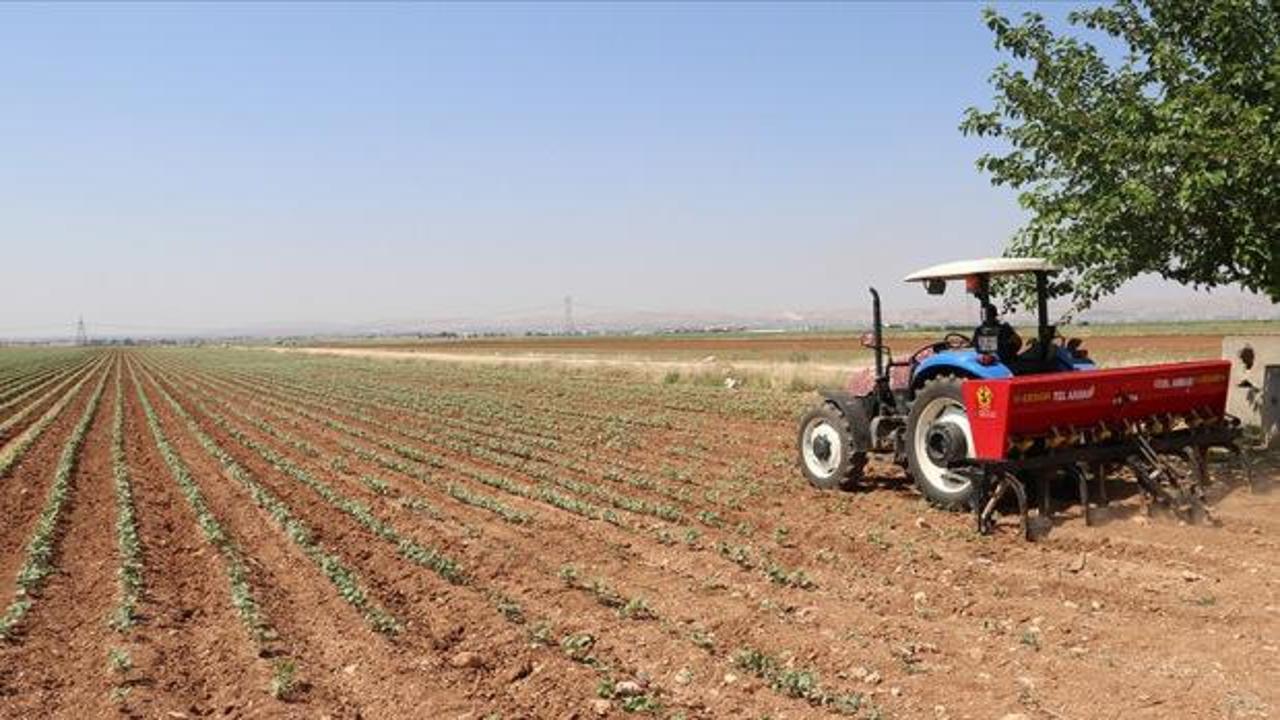 Tarımda maliyetleri düşürecek karar: Gübre ithalatında vergi sıfırlandı