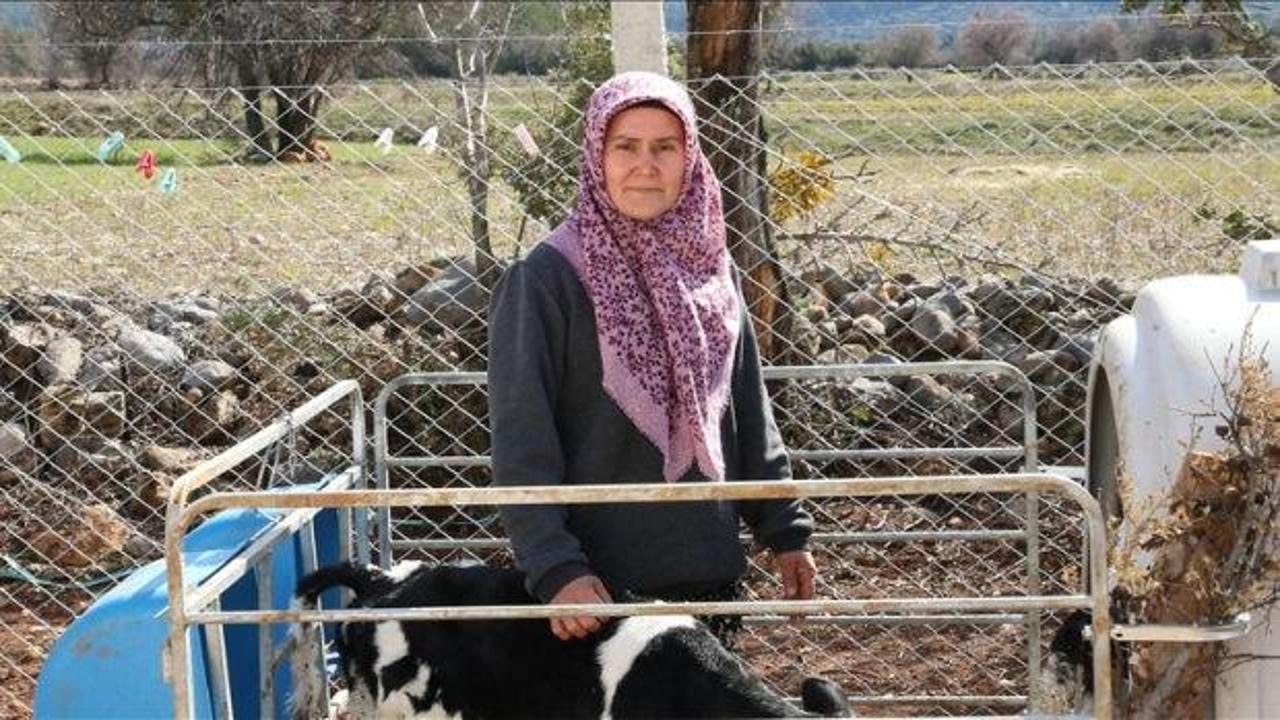 Denizli'de kadın girişimci devlet desteğiyle hayal ettiği çiftliği kurdu