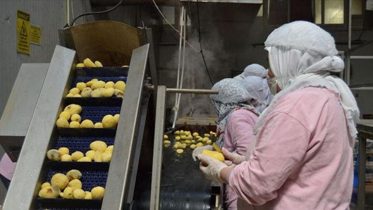 Gıda sekt&ouml;r&uuml;ne ceza yağdı! Piyasayı bozanlara ge&ccedil;it yok