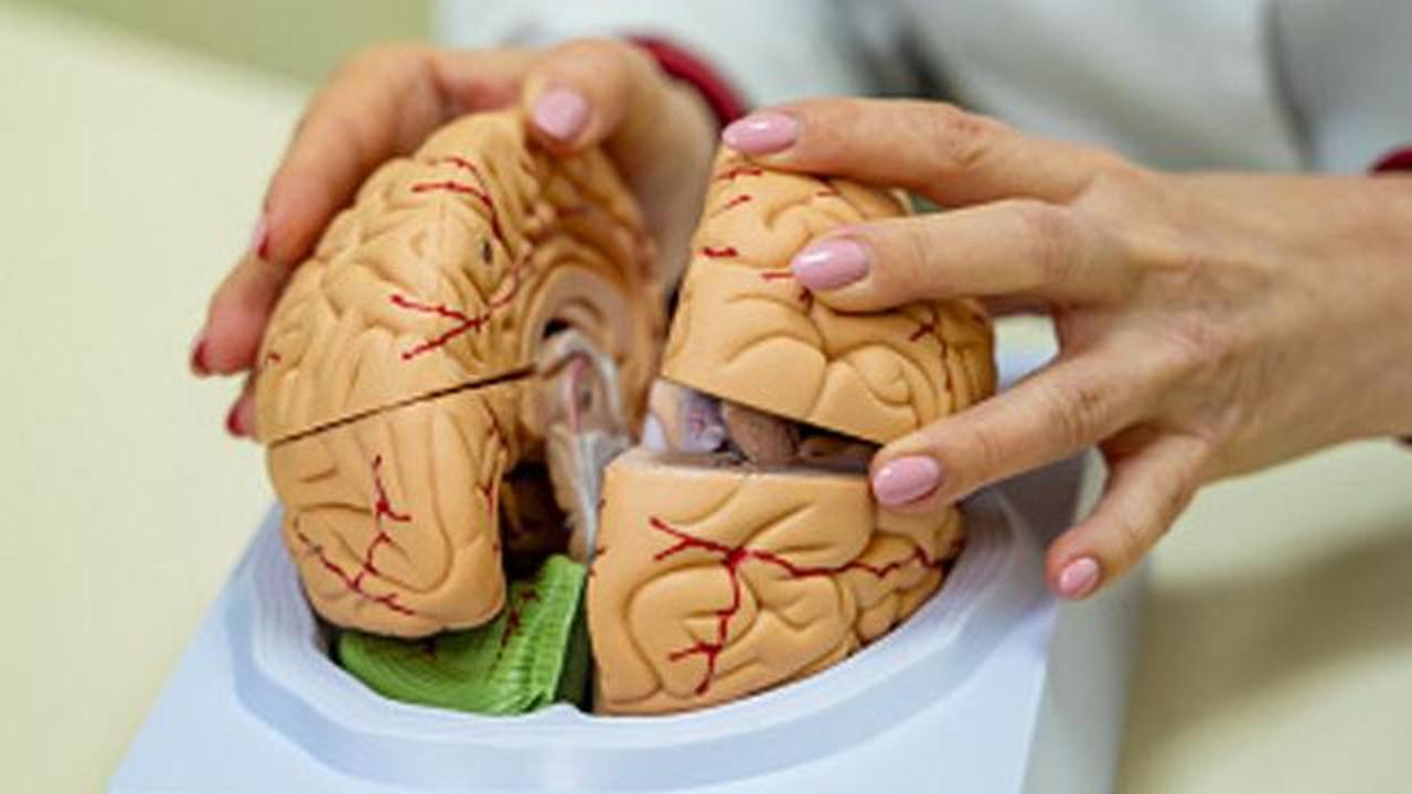 Yaşlanmanızı 5 yıl geciktiriyor! Bunama riskini %40'a kadar azaltıyor