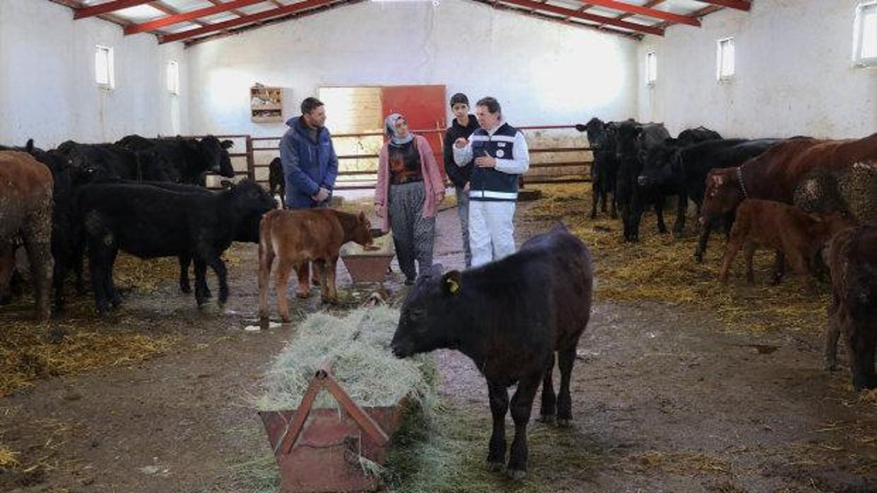 Devlet desteğiyle besiciliğe başlamıştı! 5 ayda hayvan sayısını ikiye katladı