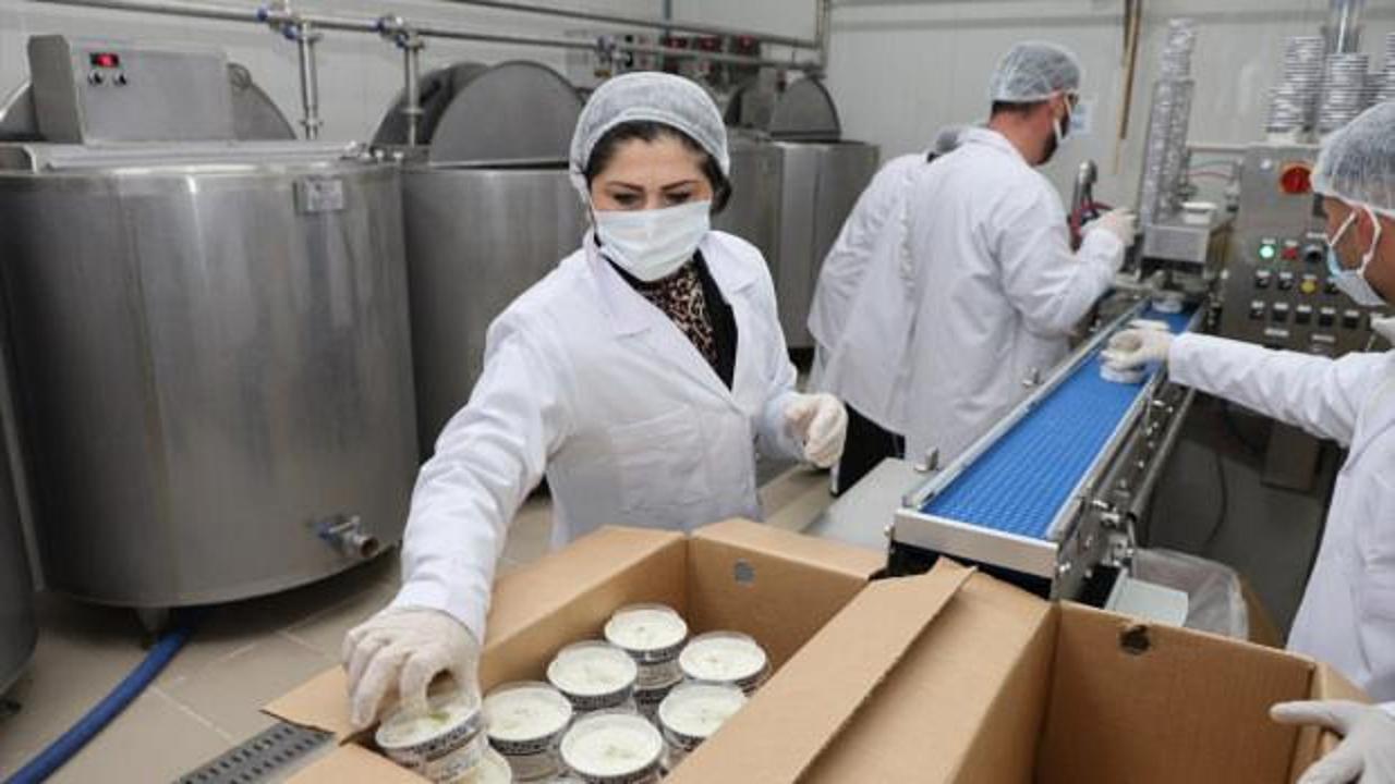 Kadın girişimci dondurmada kendi markasını oluşturdu