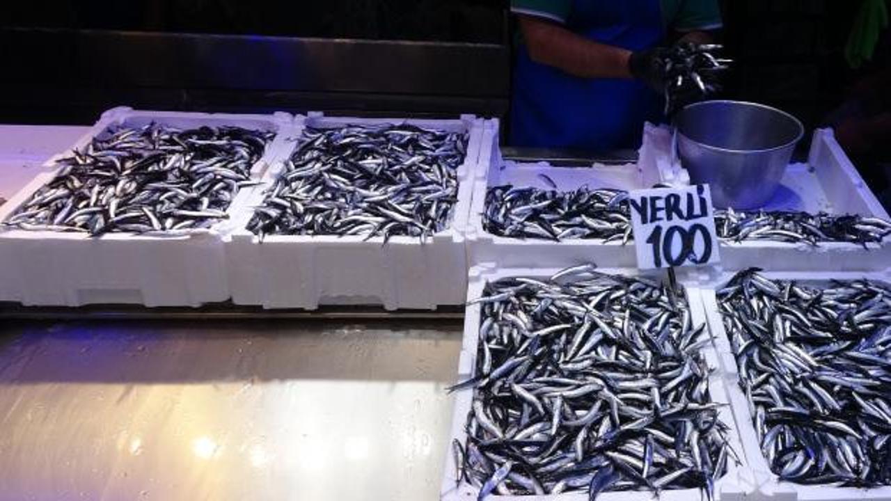 Türkiye'den 2.7 milyar dolarlık hamsi ihracatı! En çoğunu savaştaki ülke aldı