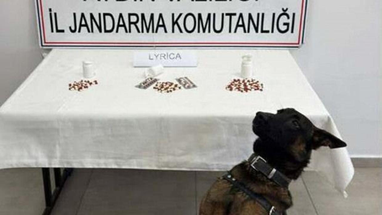 Aydın'da uyuşturucu operasyonu; 10 tutuklama