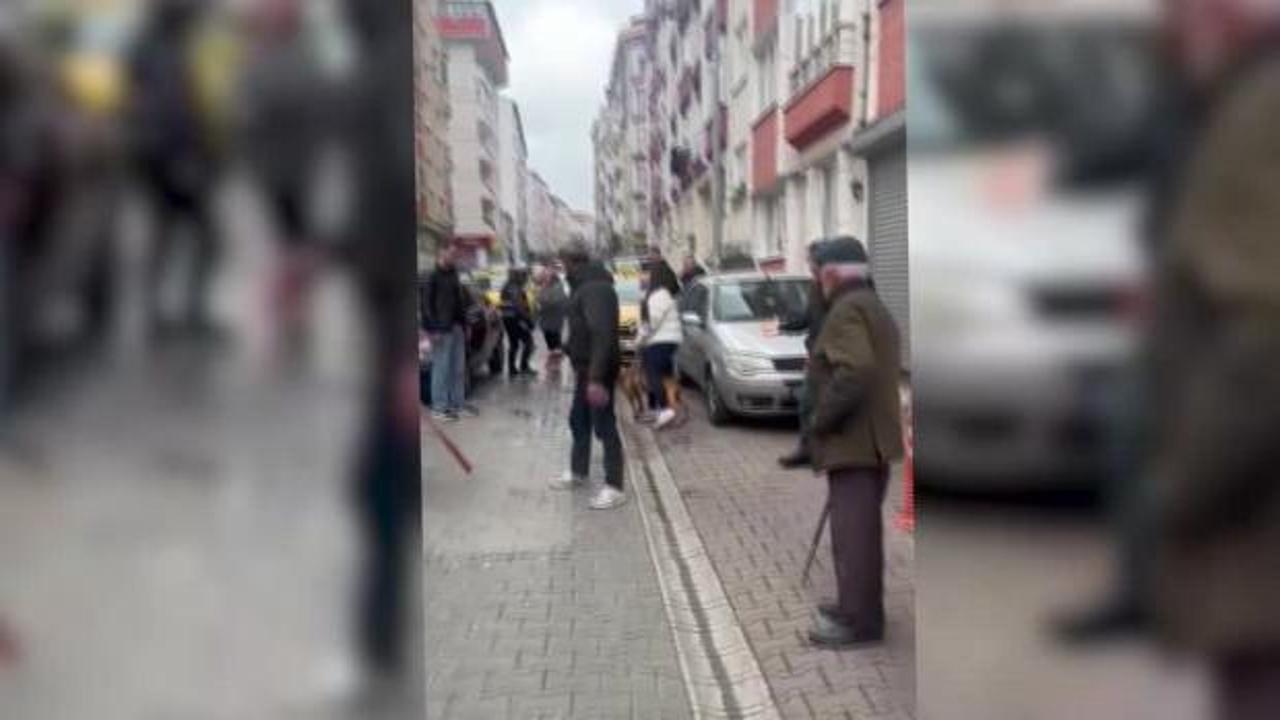 Tekirdağ'da pitbul dehşeti! Saldırı anı kameraya yansıdı