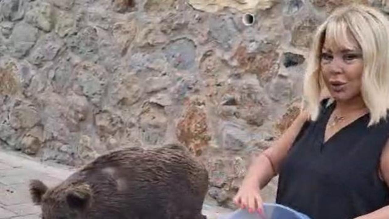 Görüntüler Muğla'dan: Safiye Soyman kapısına gelen domuzu besledi