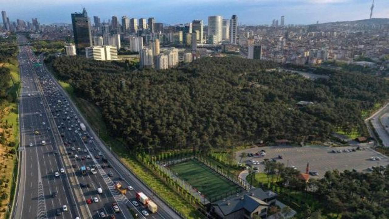 İstanbul'da 'ısı adası' etkisi: Kentte iklim değişiyor!