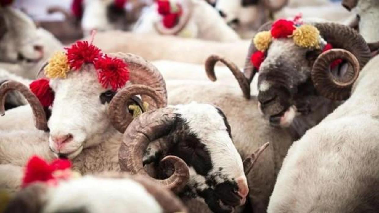  Kurban Bayramı tarihi 2026 | Kurban Bayramı tatili ka&ccedil; g&uuml;n olacak?