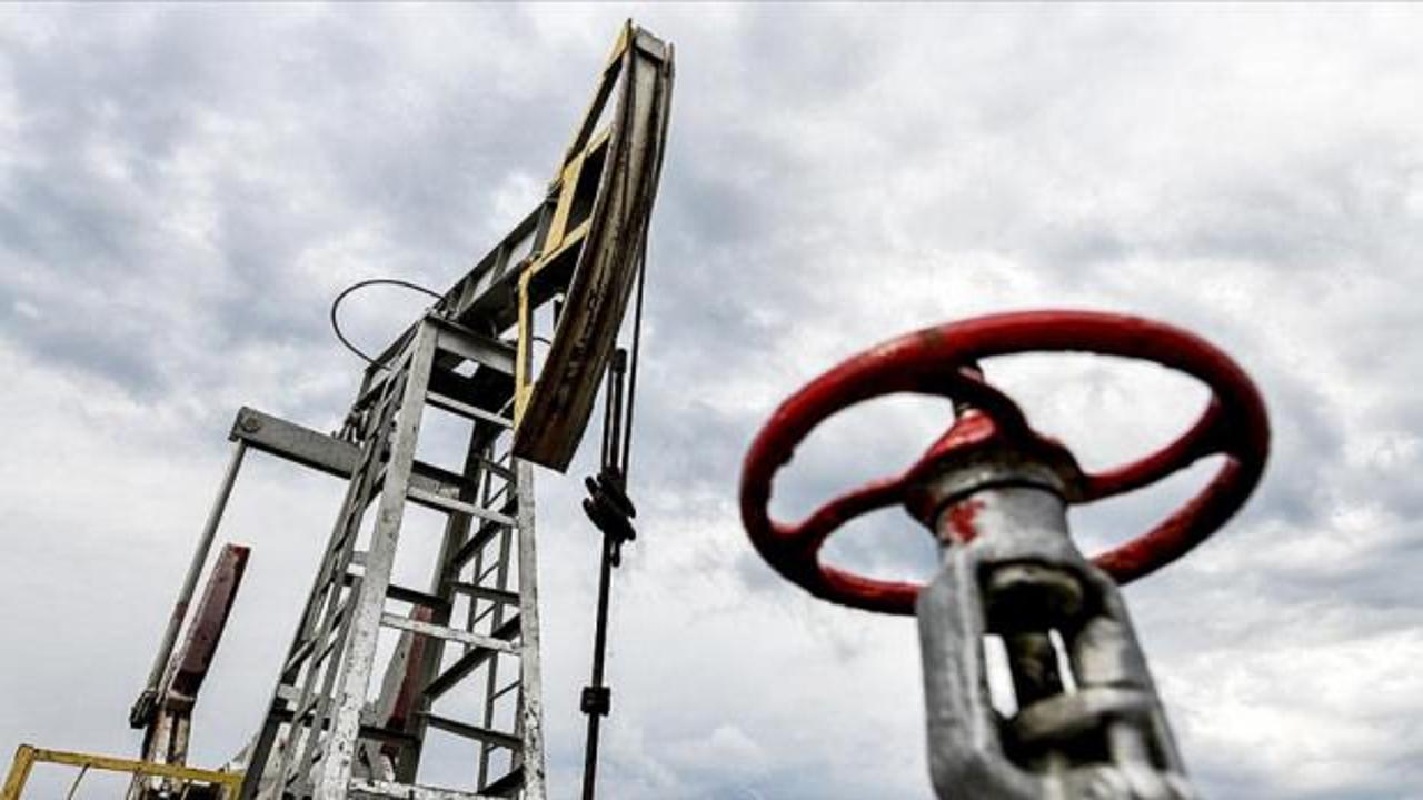 Rusya: Enerji kaynaklarını öncelikle en yakın komşularımıza tedarik edeceğiz