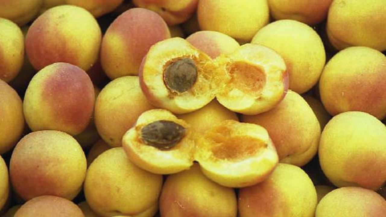 15 senelik ünlü gıda markası iflas etti! Kayısılarıyla nam salmıştı