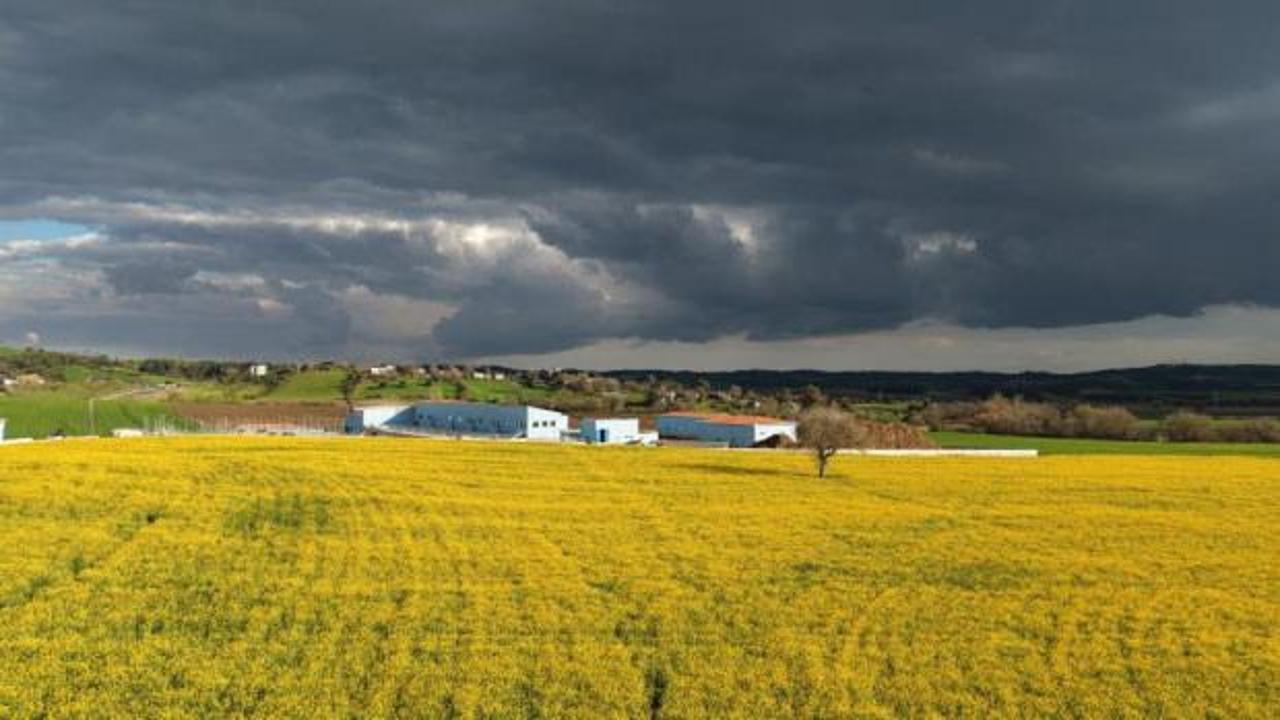 Devlet destekli &uuml;retim! &Ccedil;ift&ccedil;ilerin y&uuml;z&uuml; g&uuml;l&uuml;yor