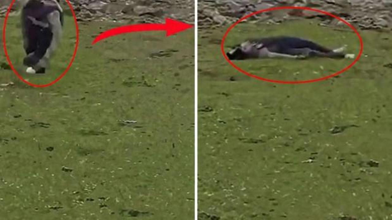 İsrail baskın düzenleyip sivilleri vurdu: Ne İran ne Lübnan!