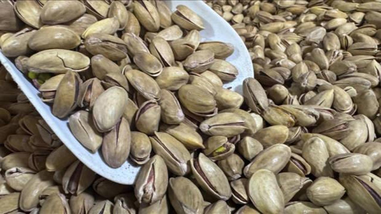 Türkiye'den yılın ilk çeyreğinde 32,8 milyon dolarlık fıstık ihracatı